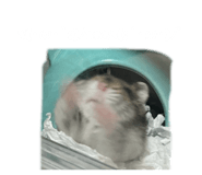 838878236