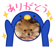838878288