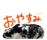 838878552