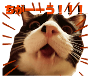 838878618