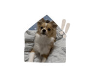 838878748