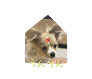 838878750