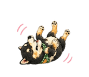 838878911