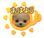838878929