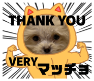 838878933