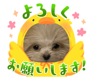838878935
