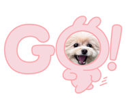 838878941