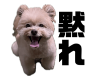 838878951