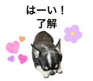 838879163