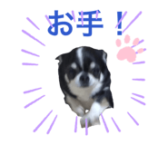 838879164