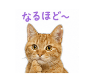 838879430