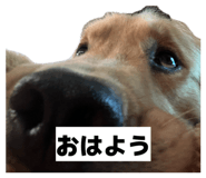 838879449