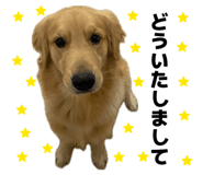 838879452