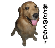 838879467