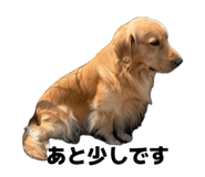 838879469
