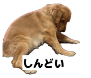 838879474