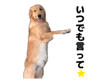 838879477