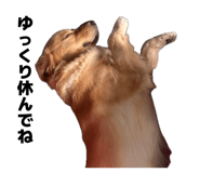 838879484
