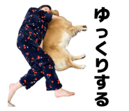 838879487