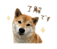 838879627