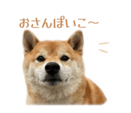 838879629