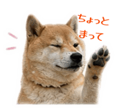 838879632