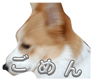 838879819