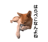 838879841
