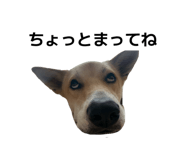 838879844