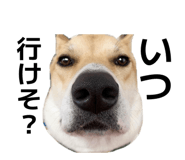 838879848