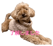 838880007