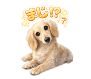 838880160