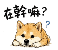 838894002