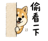 838894005