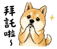 838894006