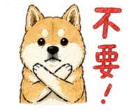 838894010