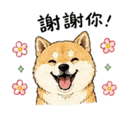 838894014