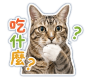838894324