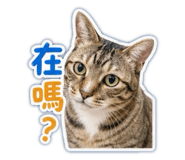 838894331