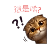 838895022