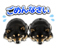 838901691