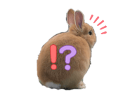 838901788