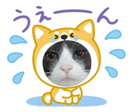 838902213