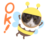 838902214