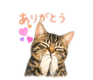 838902310