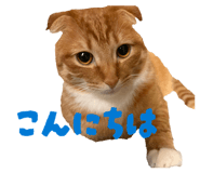 838902337