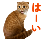 838902343