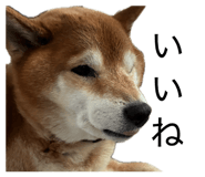 838903482