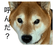 838903483
