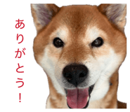838903484